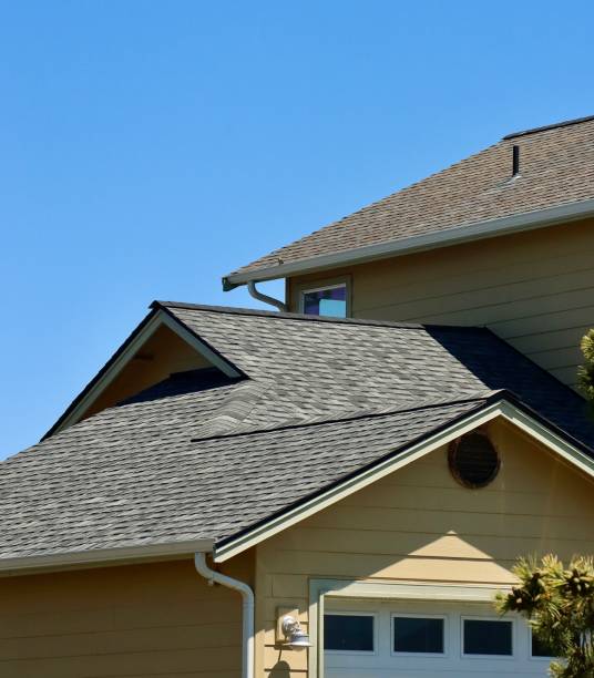 Best Roof Maintenance and Cleaning  in De Leon Springs, FL